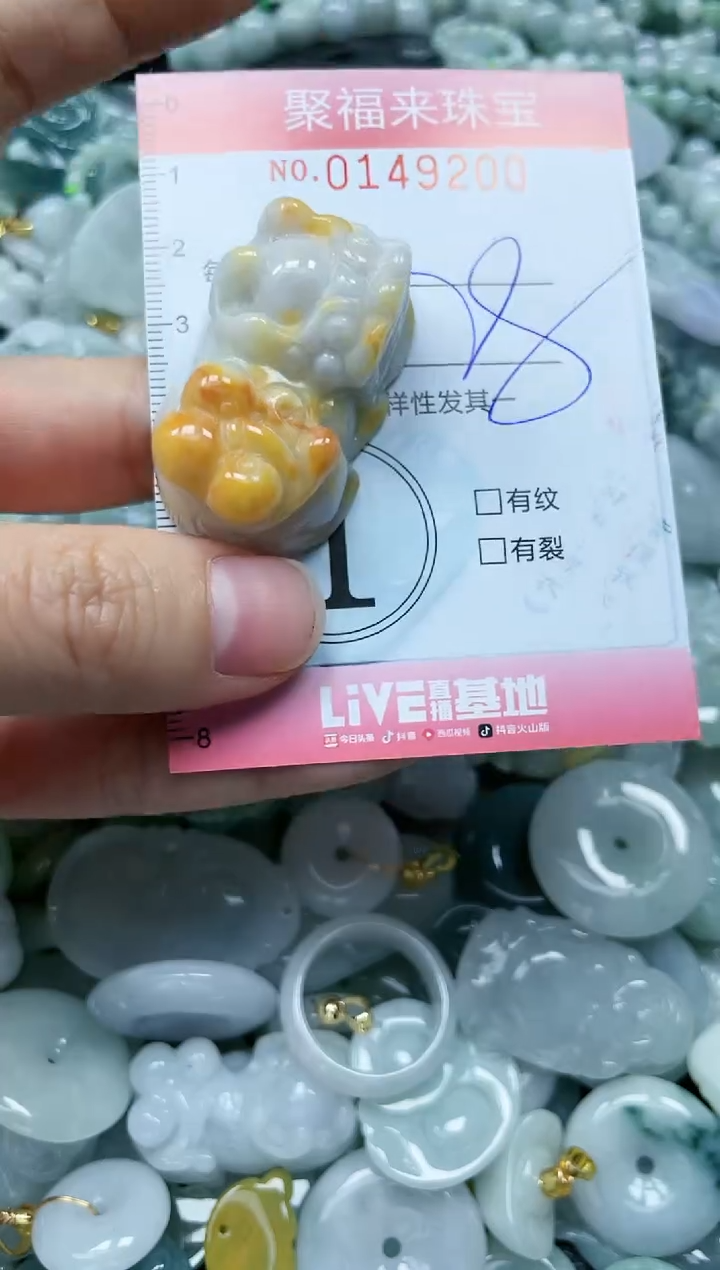 翡翠未镶嵌颈饰闪购0149200