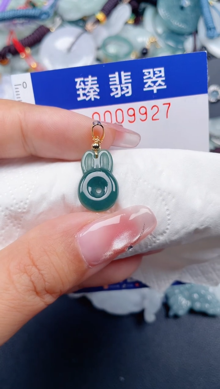 颈饰未镶嵌翡翠.0009927