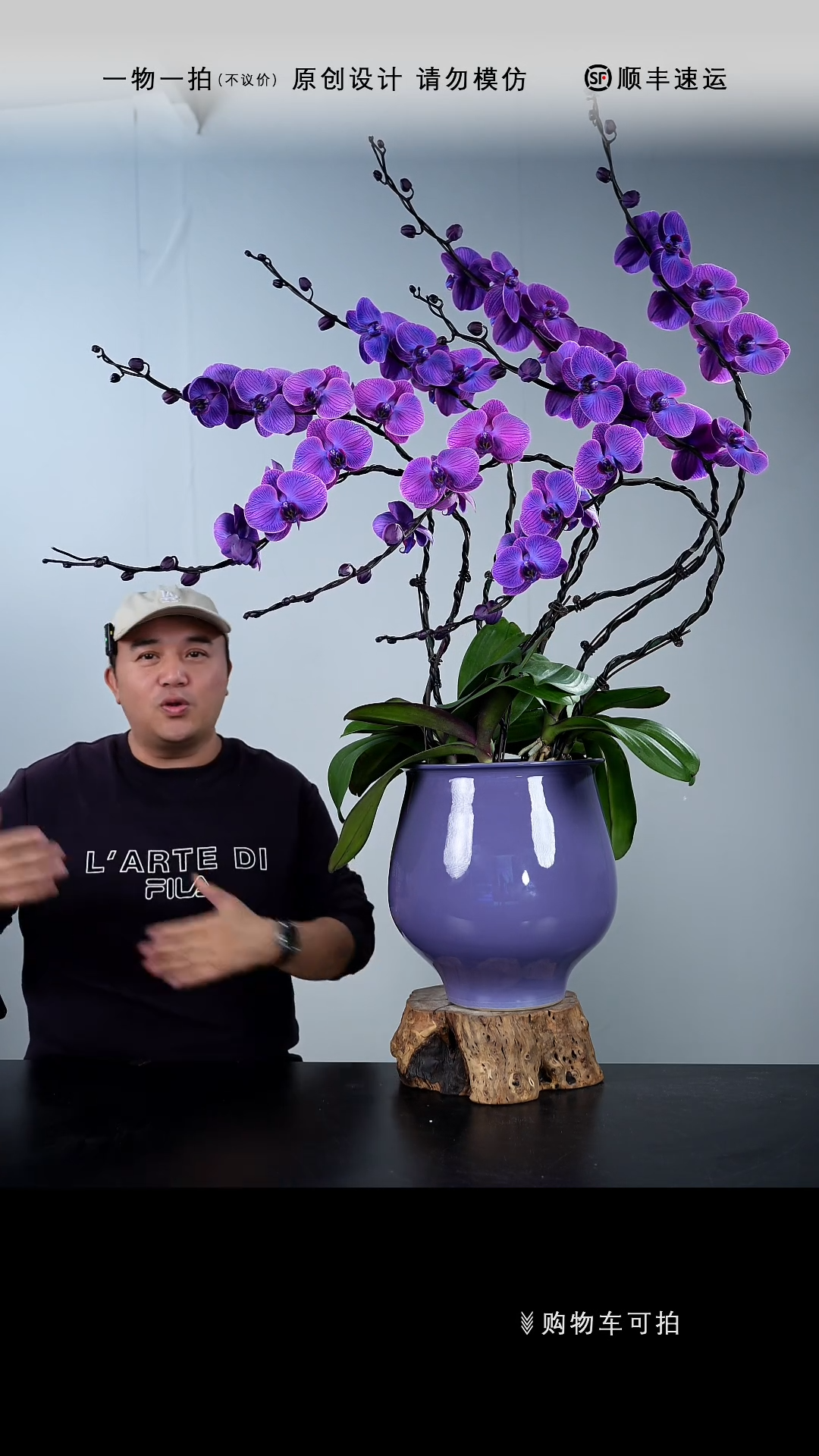 【闪购商品】079号链接【一物一拍】艺术盆景