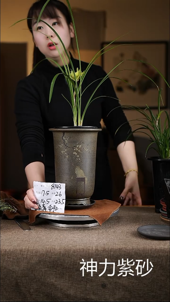 【闪购商品】紫砂花盆紫砂花盆8143+z