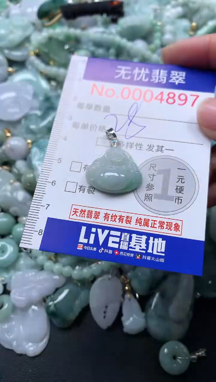 颈饰未镶嵌翡翠4897