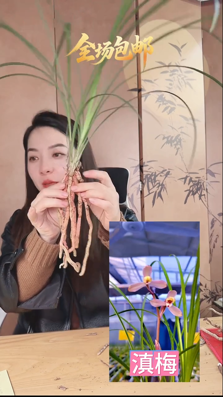 当前无花栽培后可以开花：滇梅