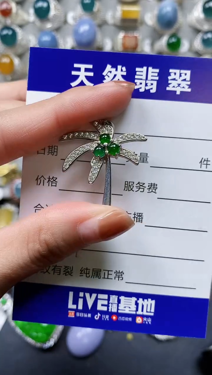 【闪购商品】翡翠颈饰银S925镶嵌0361