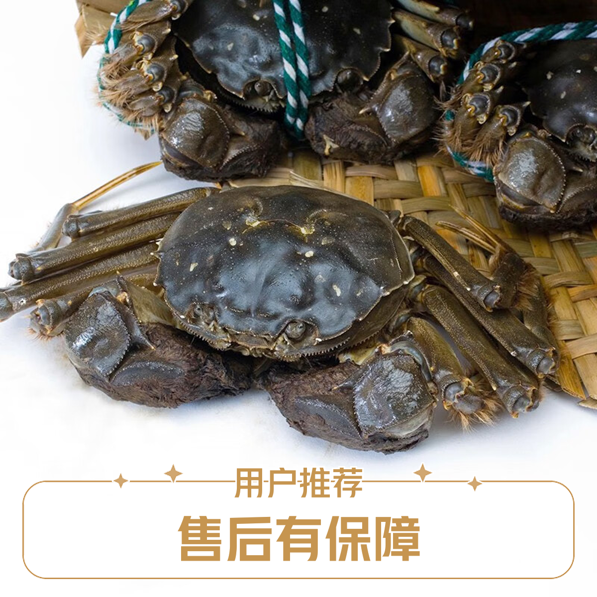 【包活】大闸蟹母蟹3±0.1两/只，一斤68 元