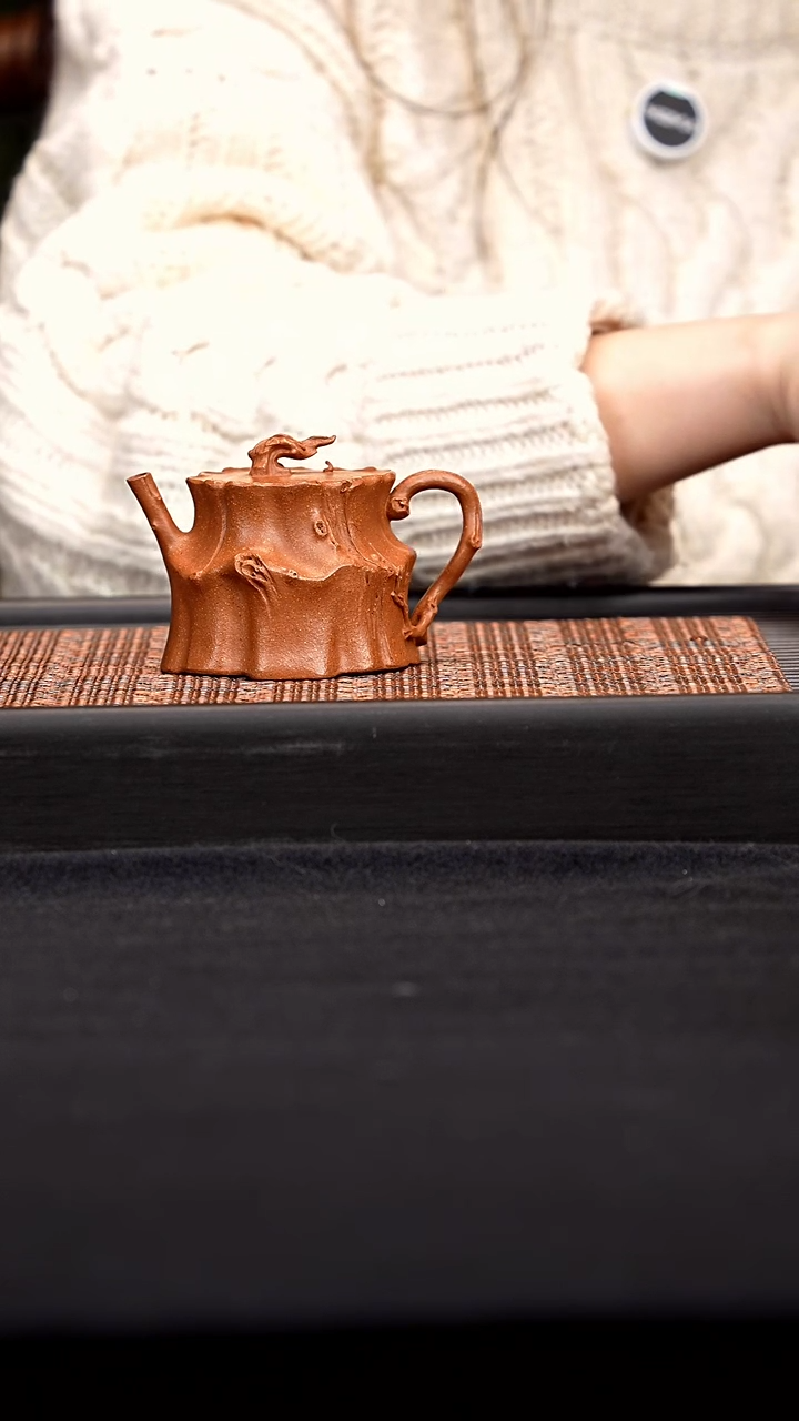 【闪购商品】全手树桩 一物见春