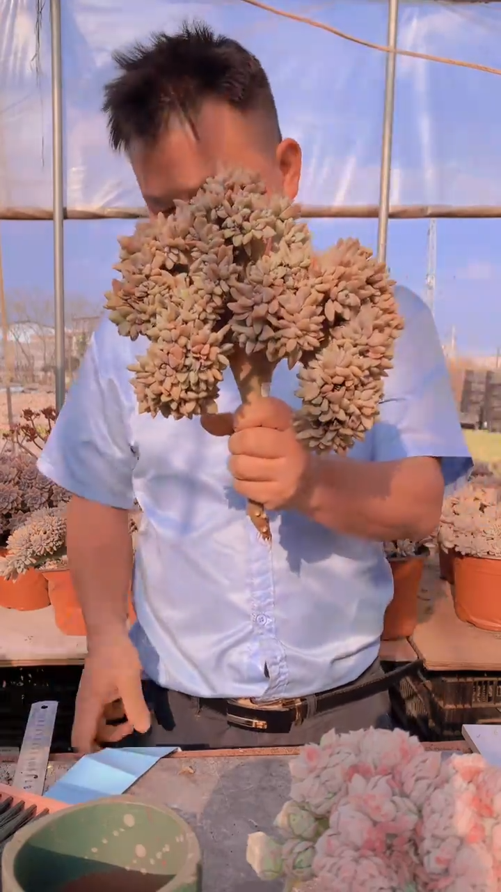 【闪购商品】缀化163