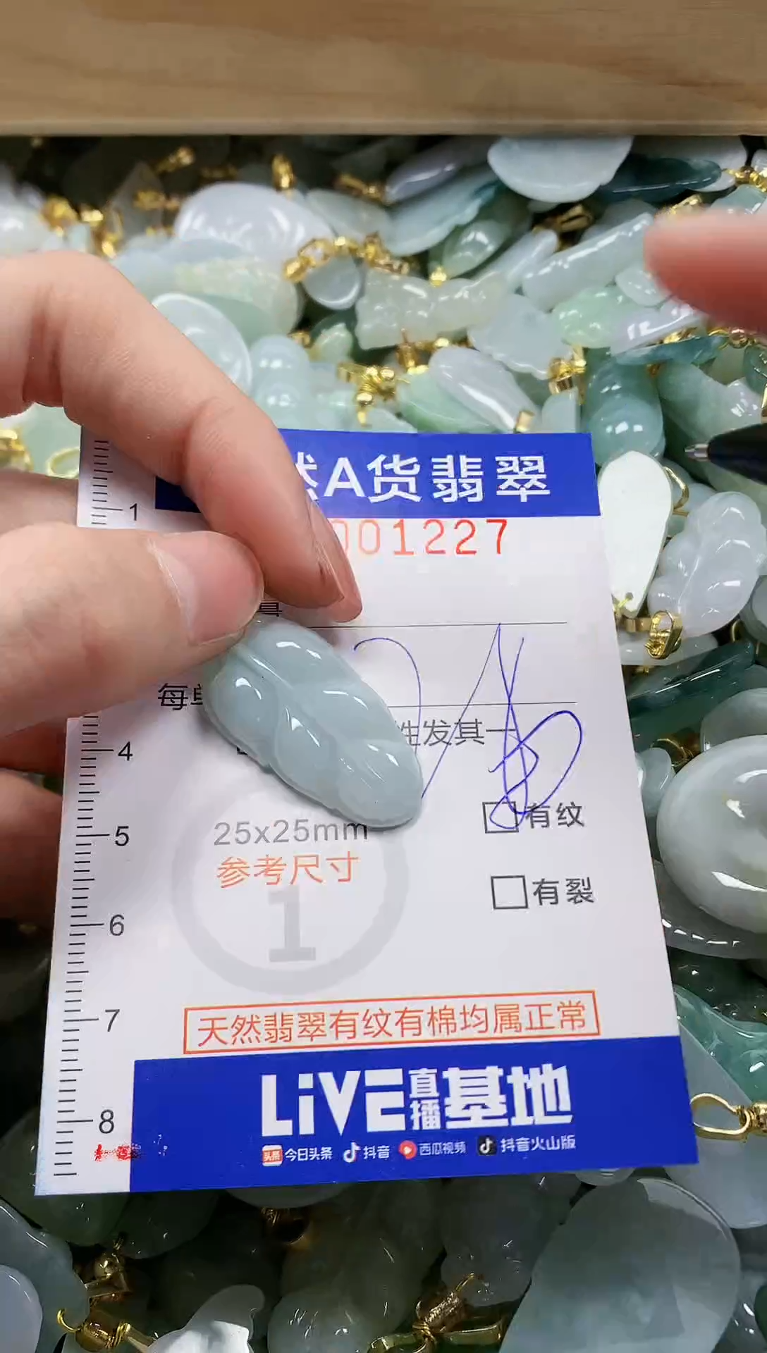 颈饰未镶嵌翡翠纯天然a货翡翠