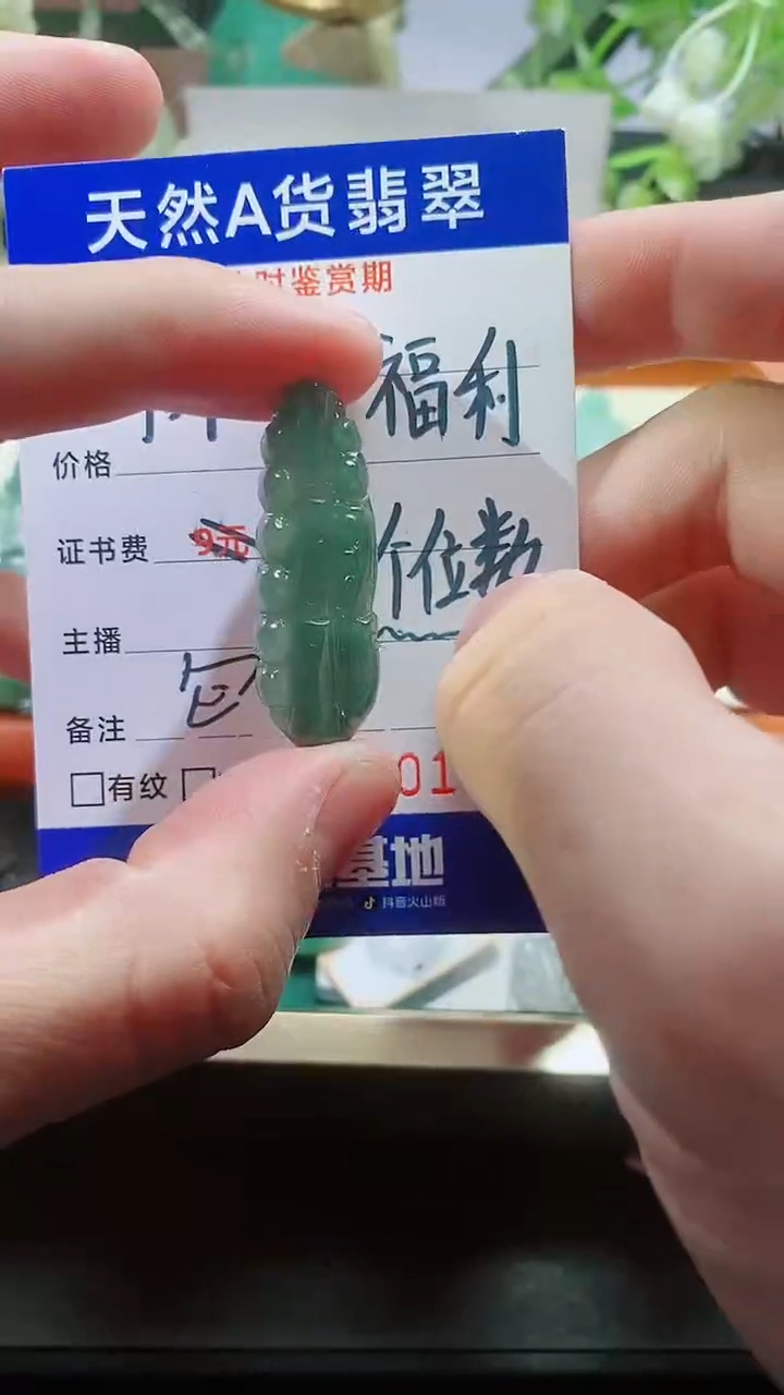 【闪购商品】翡翠颈饰未镶嵌天然A货翡翠一件