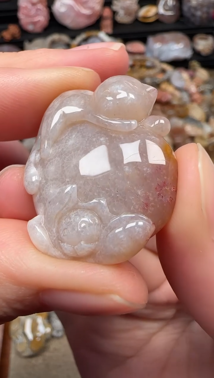 颈饰未镶嵌硅化珊瑚（珊瑚玉）175