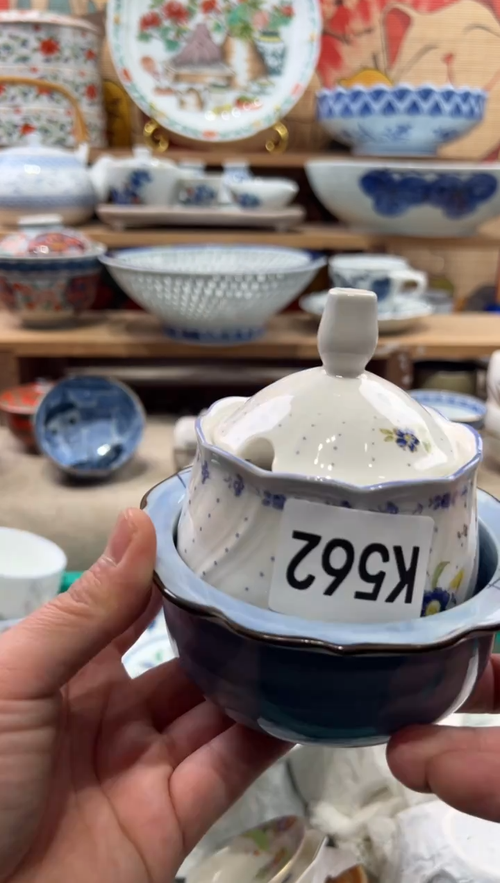 瓷片素**颜瓷片------K562