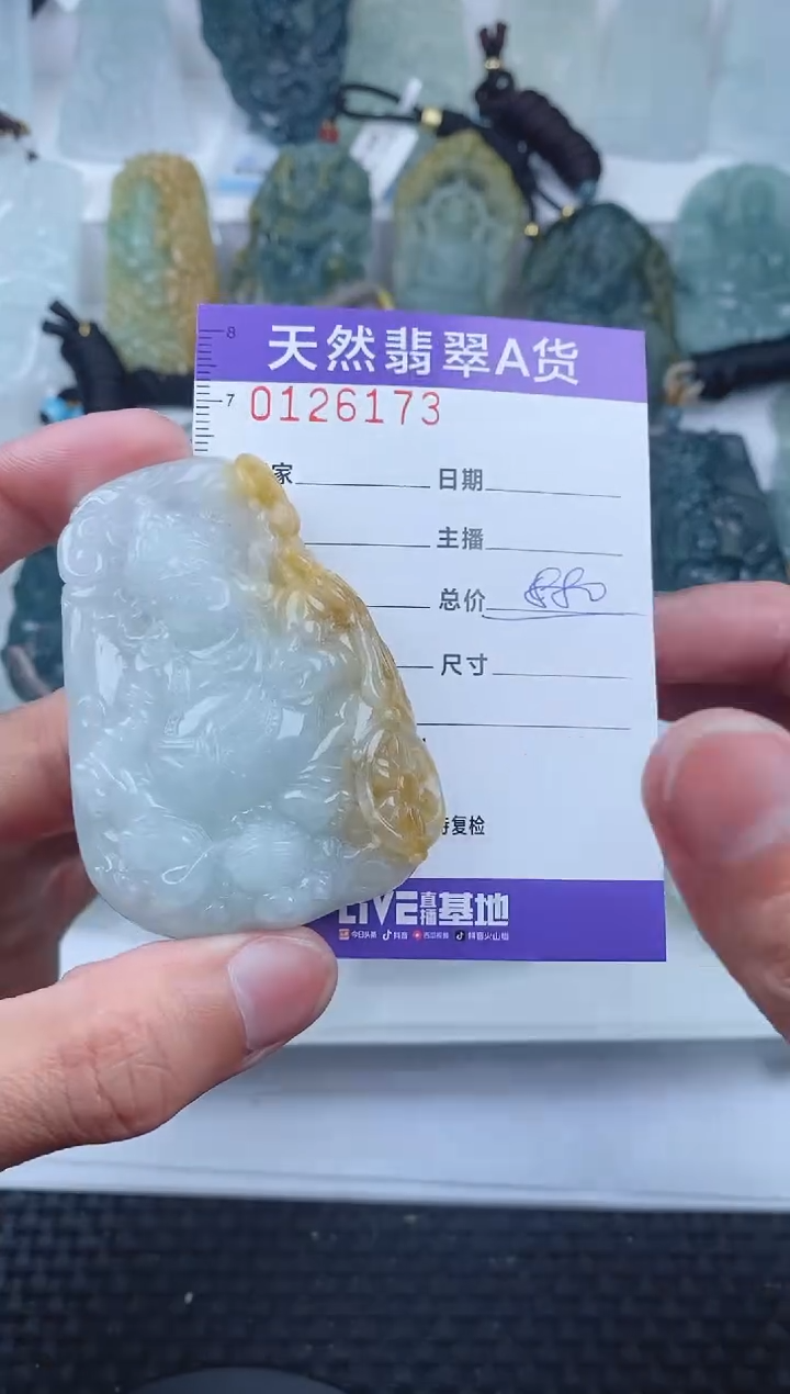 【闪购商品】翡翠颈饰未镶嵌        173
