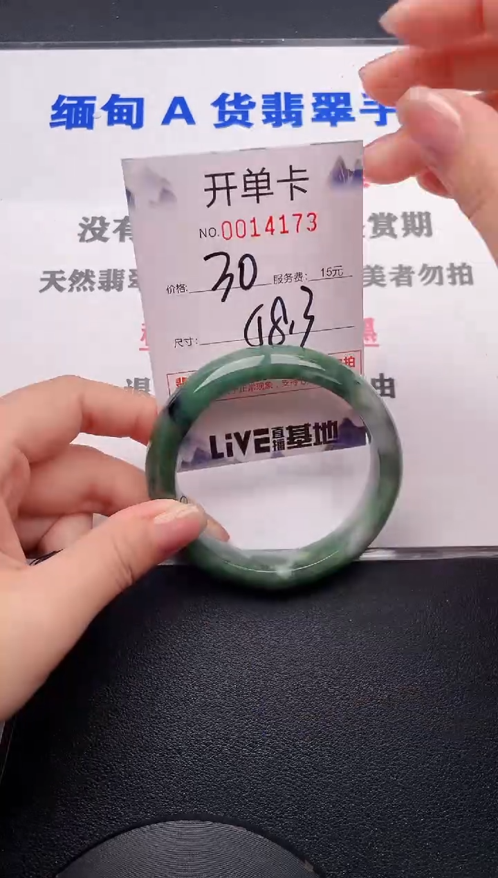 未镶嵌手镯翡翠73
