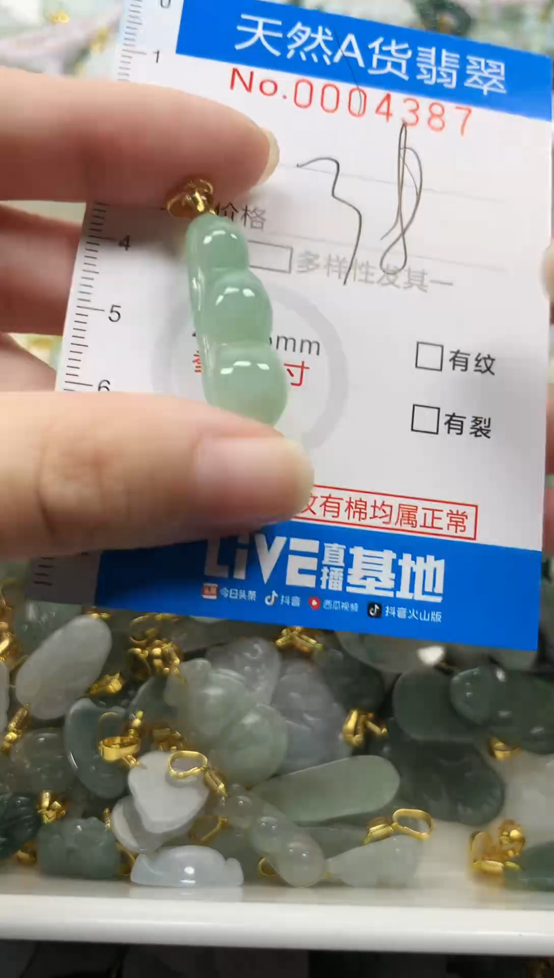 颈饰未镶嵌翡翠净货挂件-4387