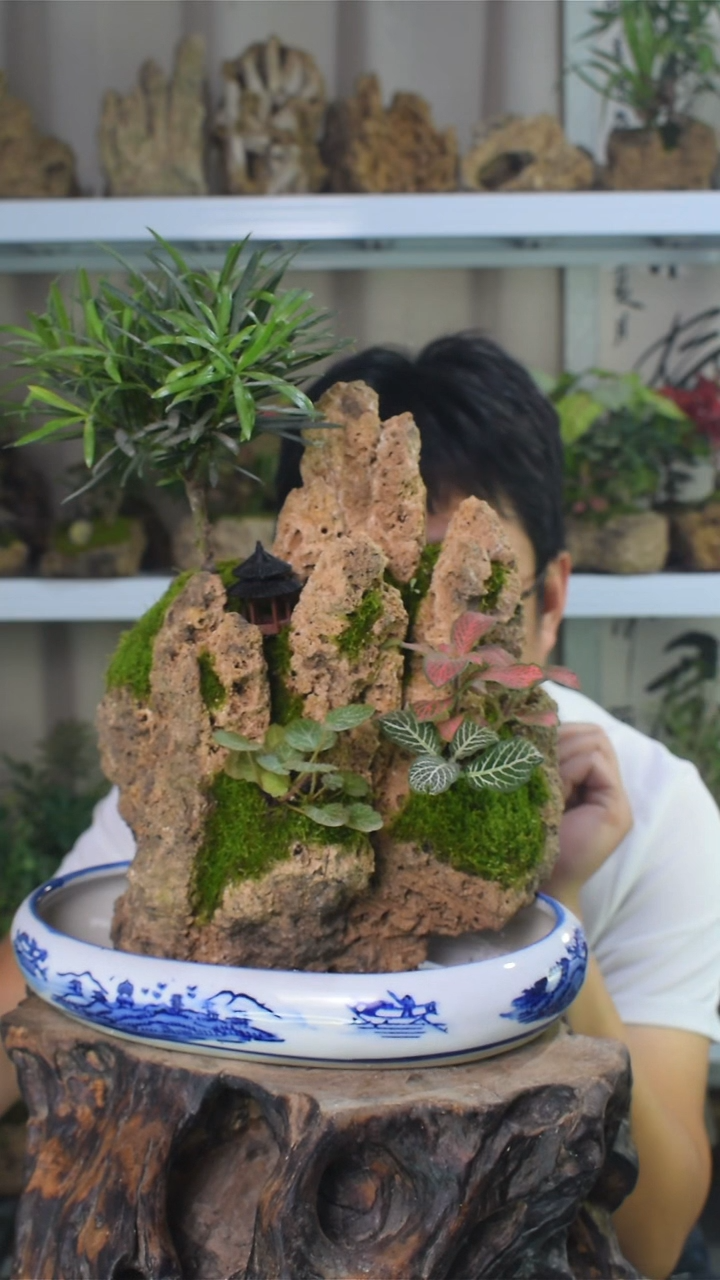 无花朵假山111111