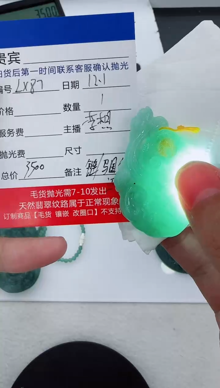 未镶嵌定制翡翠LX87翡翠吊坠赠珠链-多样性发其一