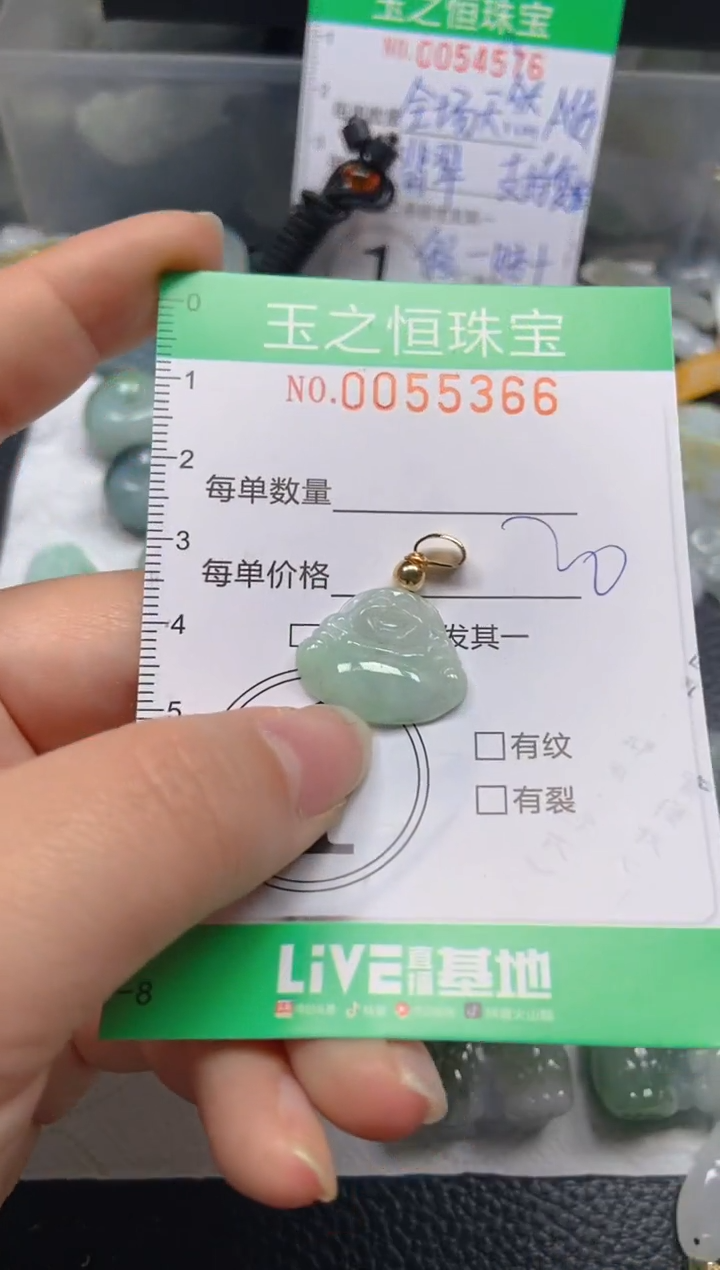 【闪购商品】翡翠未镶嵌颈饰闪购0055366