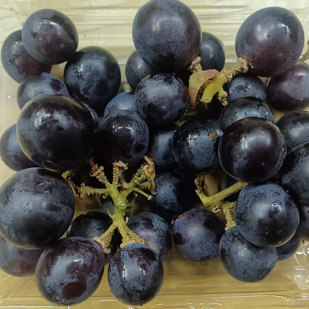 巨峰葡萄一盒装黑龙江省