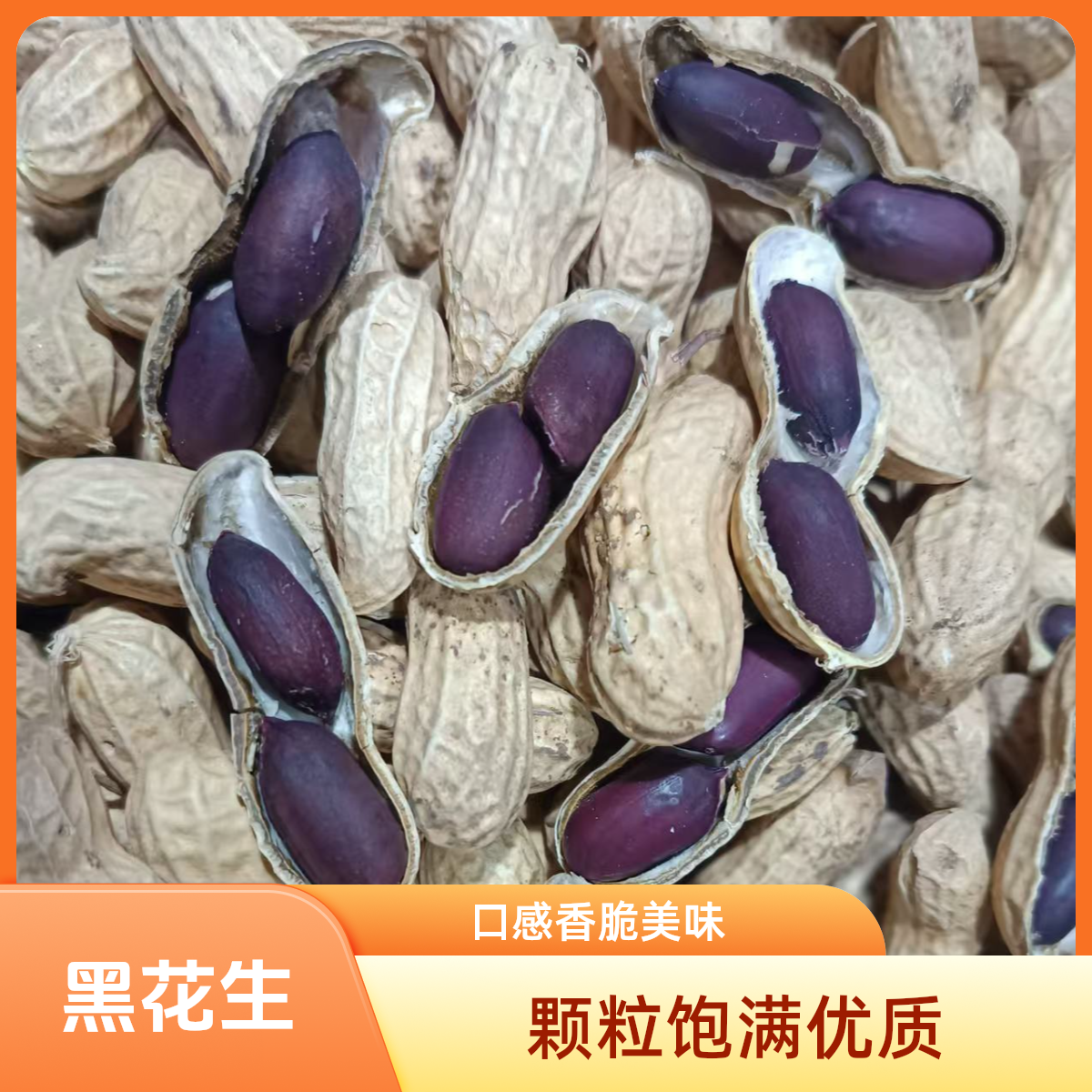 正宗生黑花生带壳生黑花生黑子颗粒饱满营养新货坚果零食