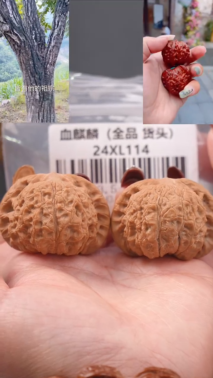 【闪购商品】文玩核桃把件43.5血麒麟狮子头