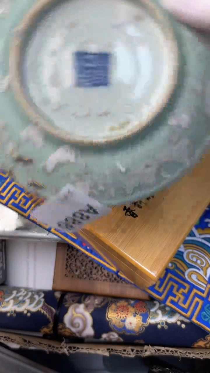 【闪购商品】瓷器瓷器瓷器瓷器