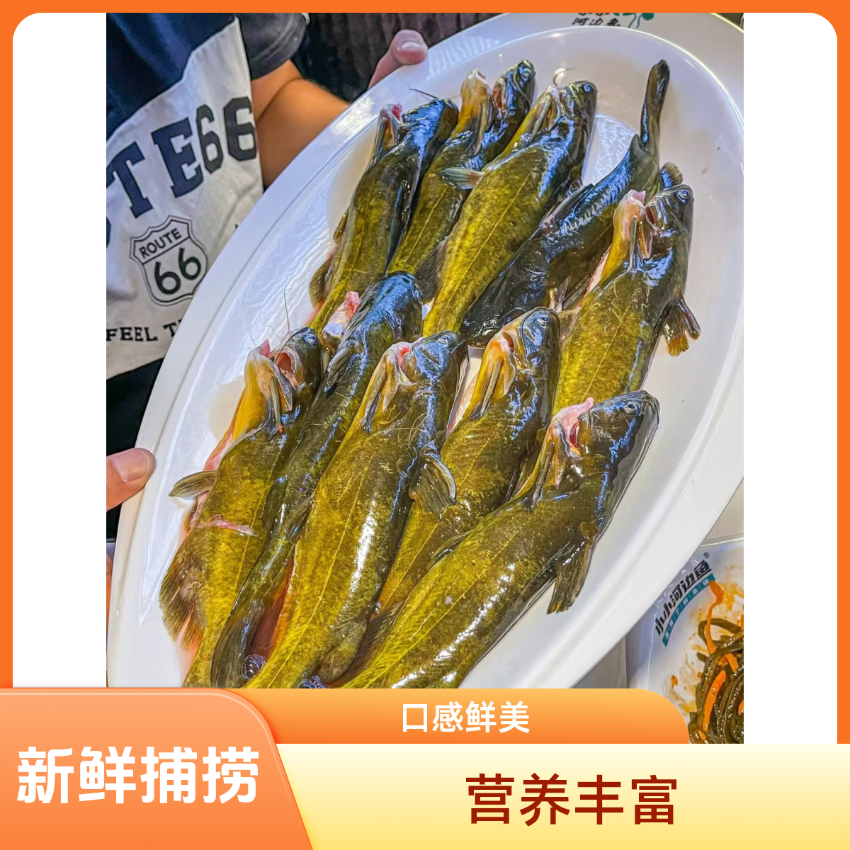 黄辣丁500g/5-8只 1斤