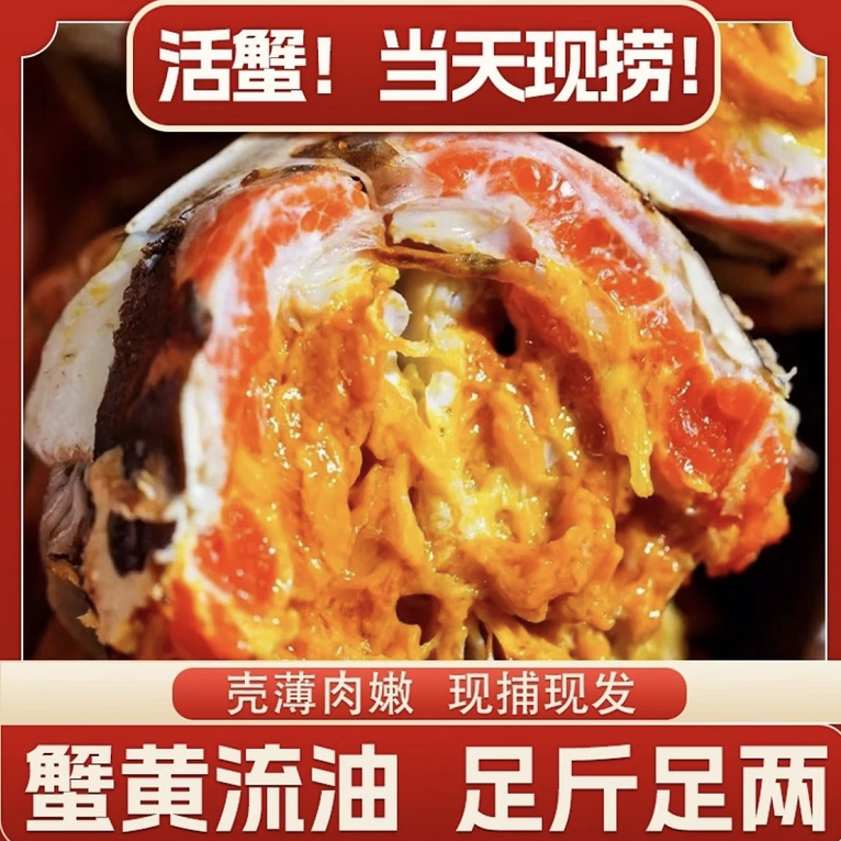 【全母 活蟹】6.0两母蟹 6/8/10只 江苏精品大闸蟹 死蟹包赔
