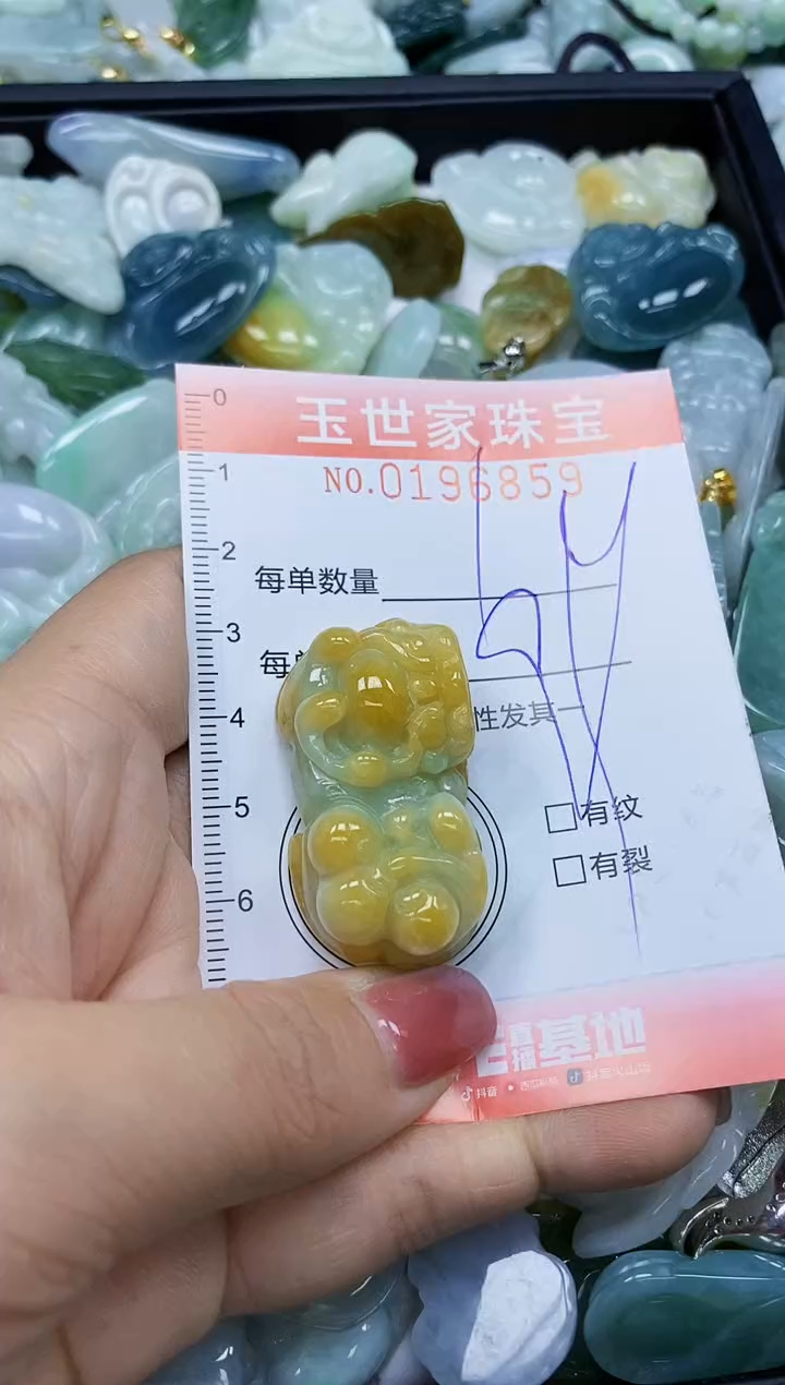【闪购商品】翡翠颈饰未镶嵌闪购0196859