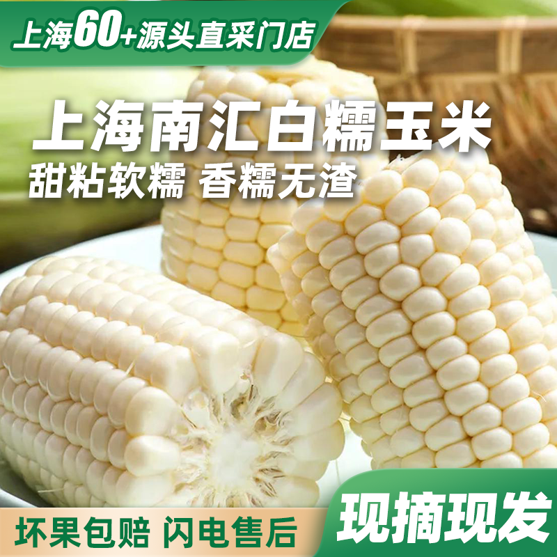 【现摘现发】南汇头茬白糯玉米中糯二号香粘软糯新鲜采摘顺丰发货南汇基地直发3.2斤~9.5斤白糯玉米上海市