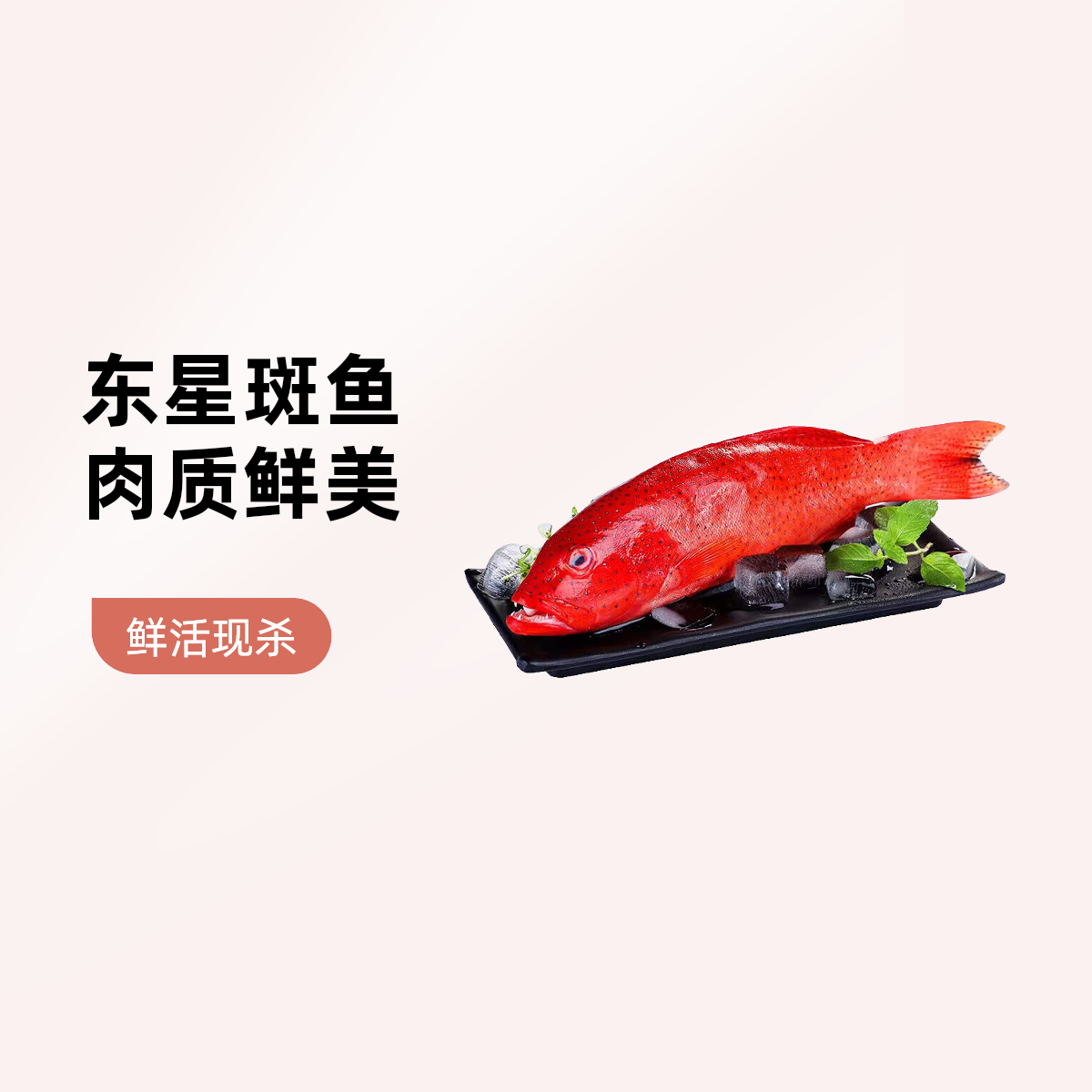 鲜活东星斑   肉质细腻   默认帮杀
