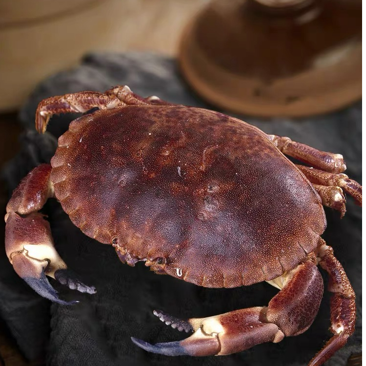 面包蟹两只共2-2.5斤充氧气发货个别断脚介意勿拍保鲜不保活