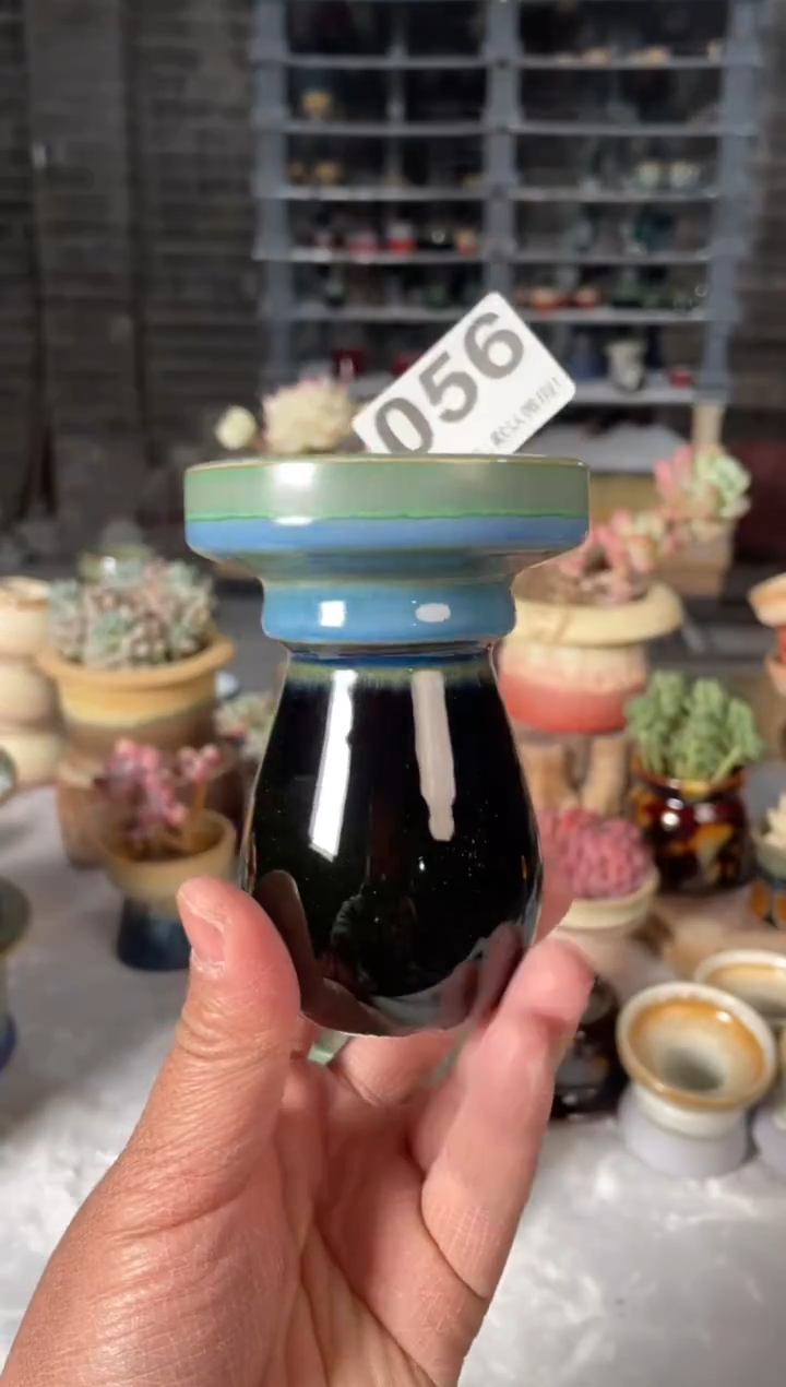 瓷片056小芳直播编号