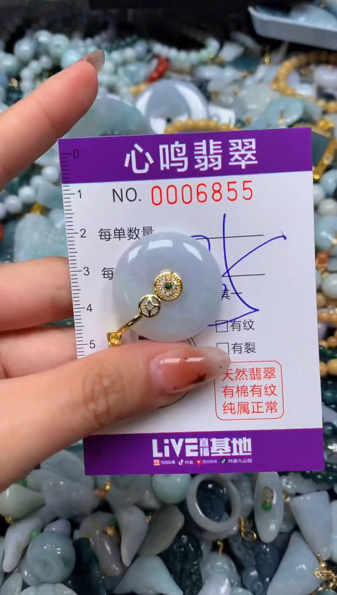 翡翠未镶嵌颈饰闪购006855