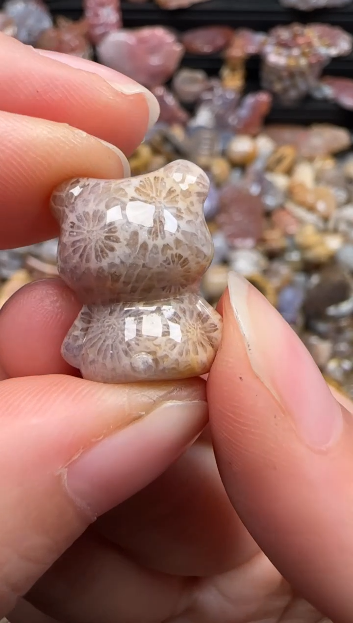 【闪购商品】硅化珊瑚（珊瑚玉）颈饰未镶嵌657