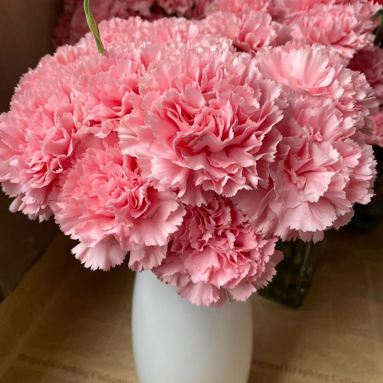 欣然专属『粉钻10支』家居养花鲜花批发直播 全场两单顺丰包邮次日达 养护教程联系客服