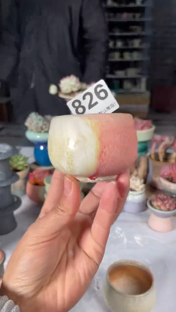 瓷片826小芳直播编号