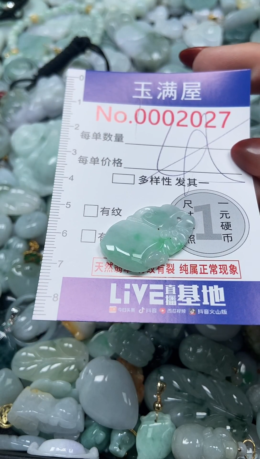 颈饰未镶嵌翡翠2027