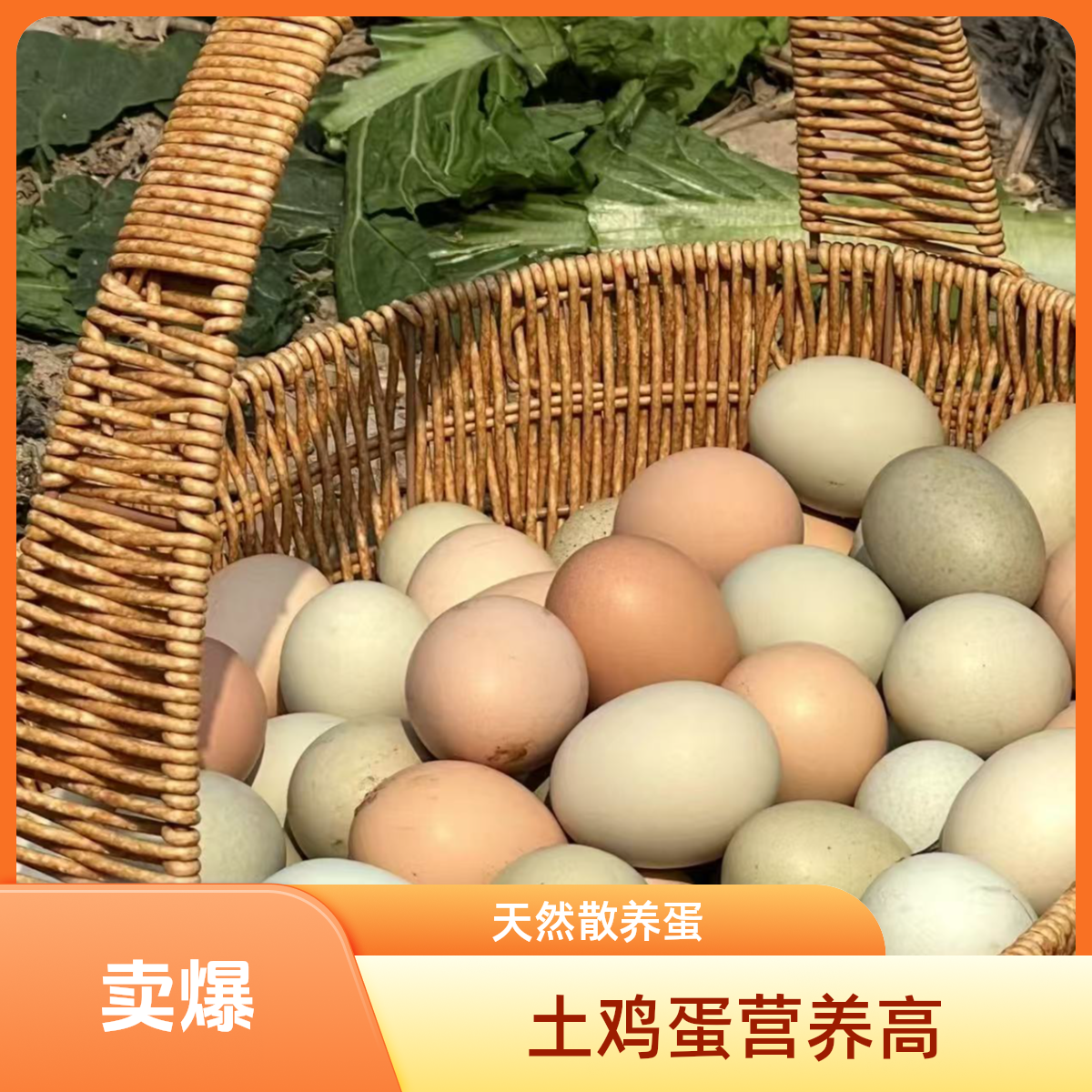 【贵州散养土鸡蛋】现捡现发顺丰包邮多仓发货今天拍明天到土鸡蛋散养土鸡蛋