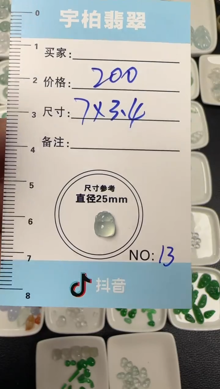 未镶嵌定制翡翠天然A货翡翠+猪13