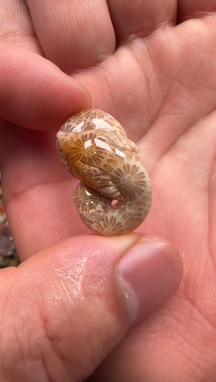 【闪购商品】硅化珊瑚（珊瑚玉）颈饰未镶嵌543