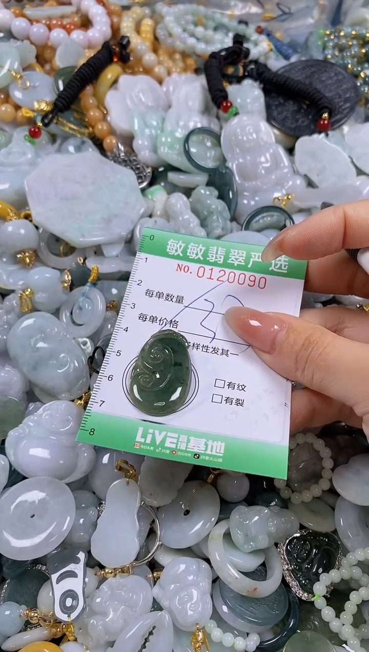 【闪购商品】翡翠颈饰未镶嵌闪购0120090多样性发其一