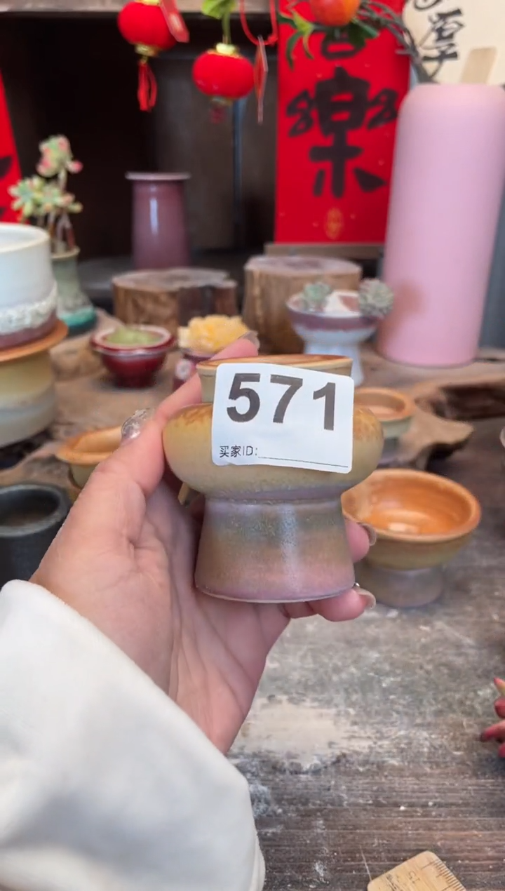 【闪购商品】摆件571知木小芳花盆