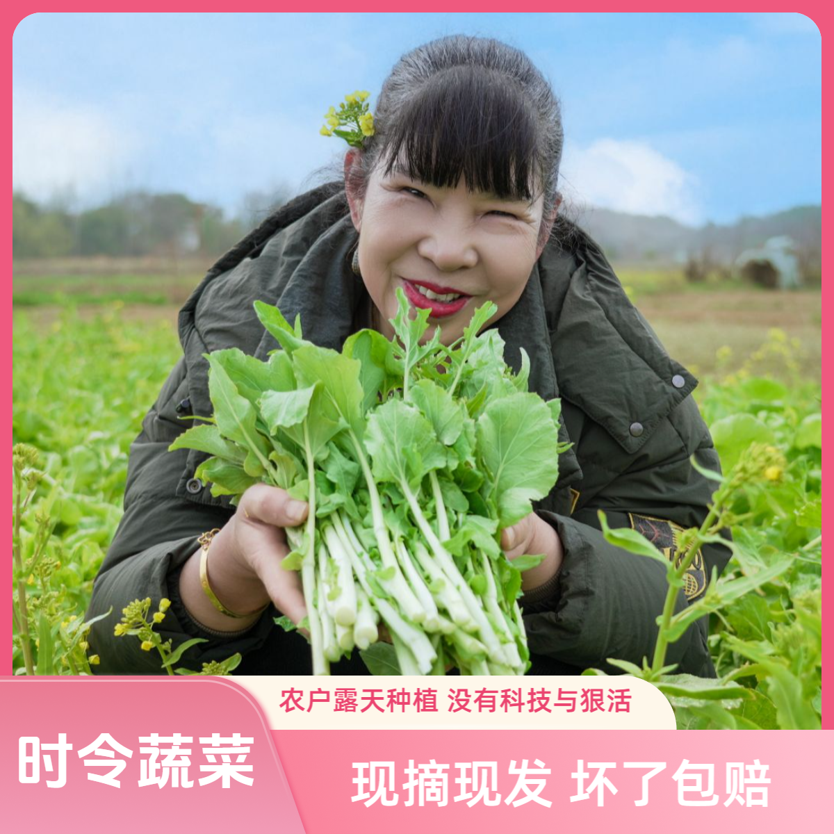 正宗农户自种时令蔬菜露天菜现摘现发包邮