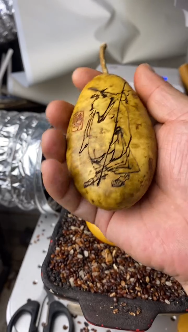 微*鱼葫芦葫芦葫芦葫芦