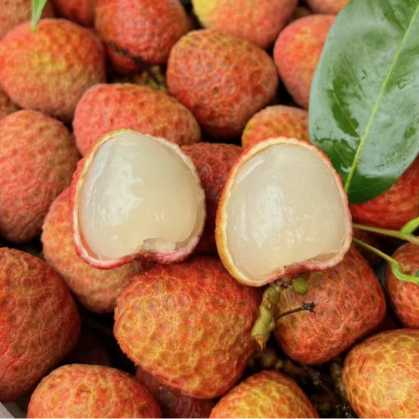 【今天拍明天到】海南优选桂花香荔枝当季新鲜水果精美礼盒一箱 净重2.2斤海南省