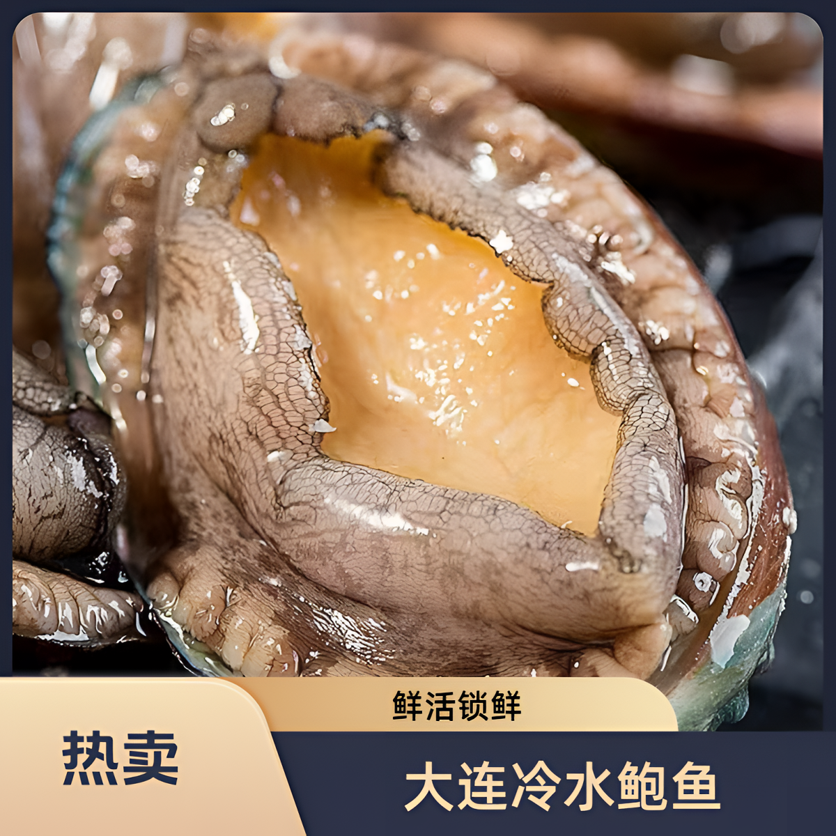 【大连冷水鲍鱼】2头鲍皇  鲜活速冻锁鲜 两单减十元 全国包邮