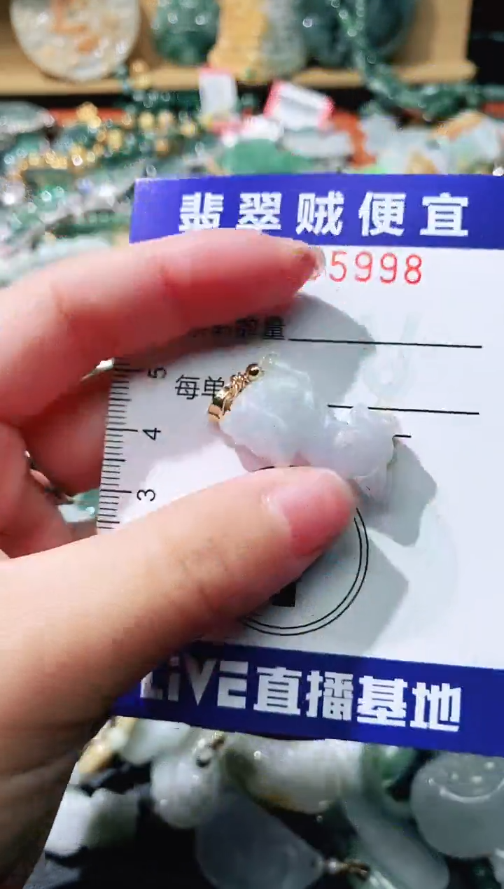 【闪购商品】翡翠颈饰未镶嵌闪购0005998