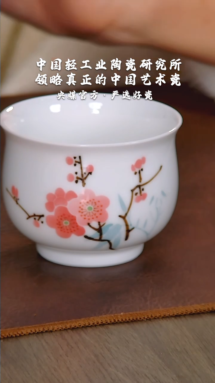 【闪购商品】瓷片陶瓷 研究所 流水36
