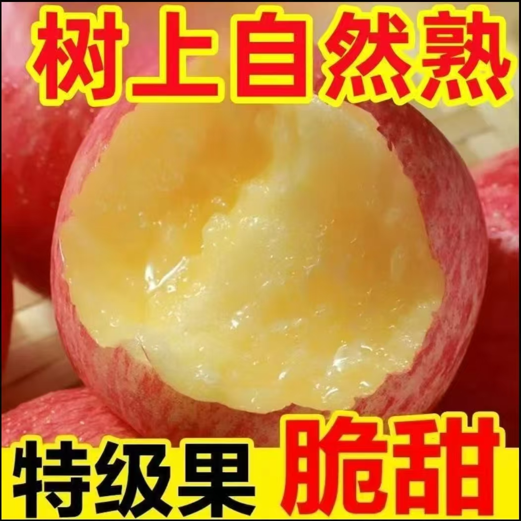 陕西高山红富士苹果新鲜当季脆甜多汁爽口冰糖心水果wt