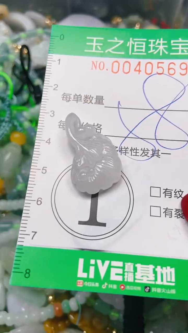 【闪购商品】翡翠颈饰未镶嵌闪购0040569