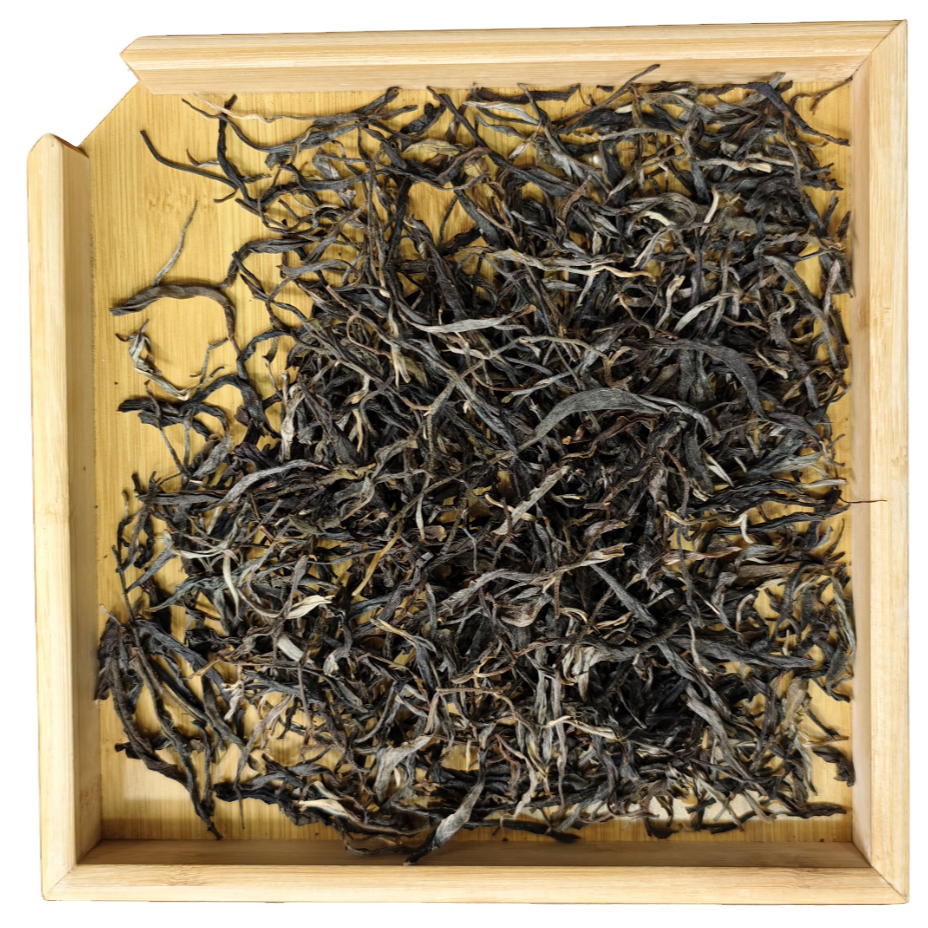 粉丝专享 2023年 茶山箐散生茶250-1000g G603 JD168